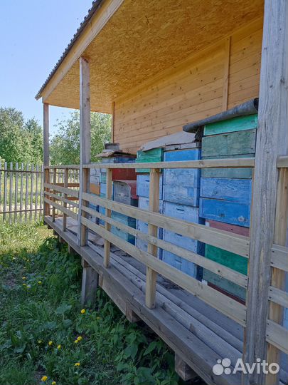 Продам ульи для пчел