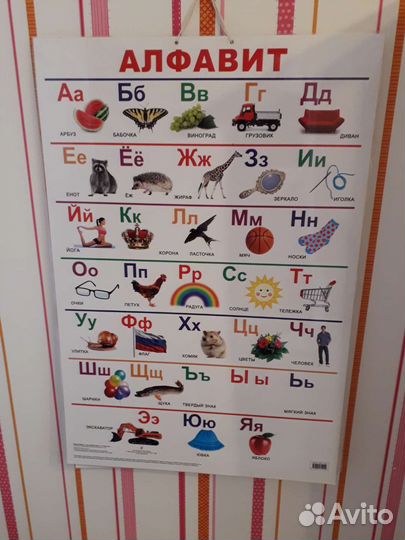 Учебный плакат