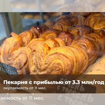 Прибыльный бизнес пекарни по франшизе, бизнес, Называевск