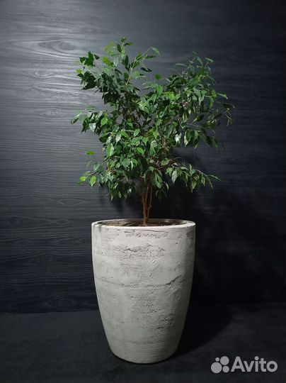 Горшки, Вазоны, Кашпо под заказ из бетона