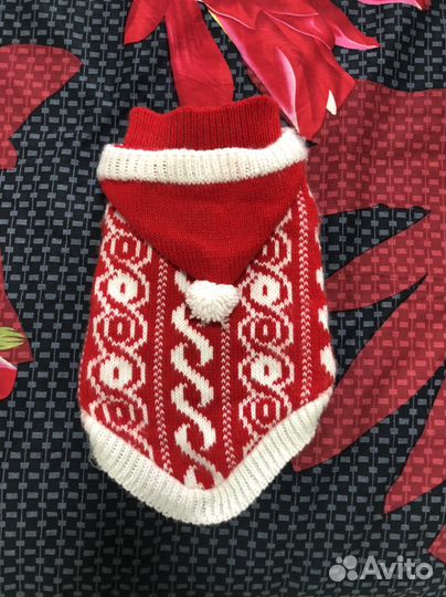 Кофта доя кошки или маленькой собачки