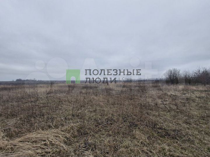 Участок 86 га (ИЖС)