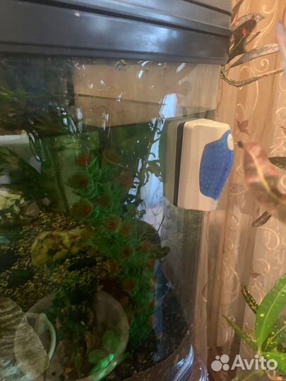 Аквариум с тумбой