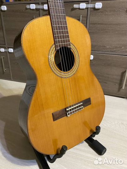 Strunal (Cremona) 977