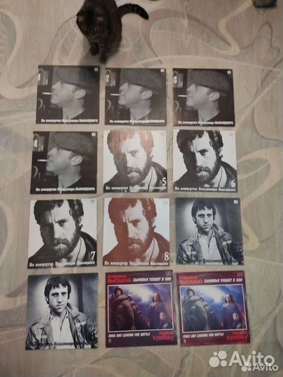 Виниловые пластинки владимир высоцкий