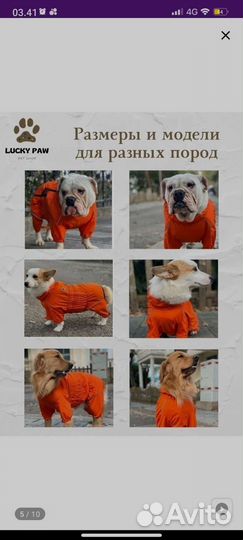 Комбинезон дождевик для собак Lucky Paw