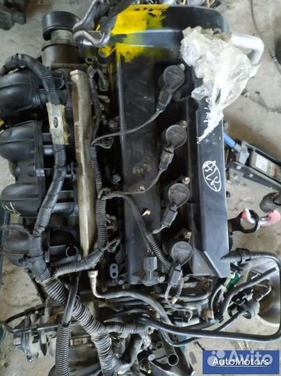 Двигатель Ford Focus 2 restailing, 2009 год