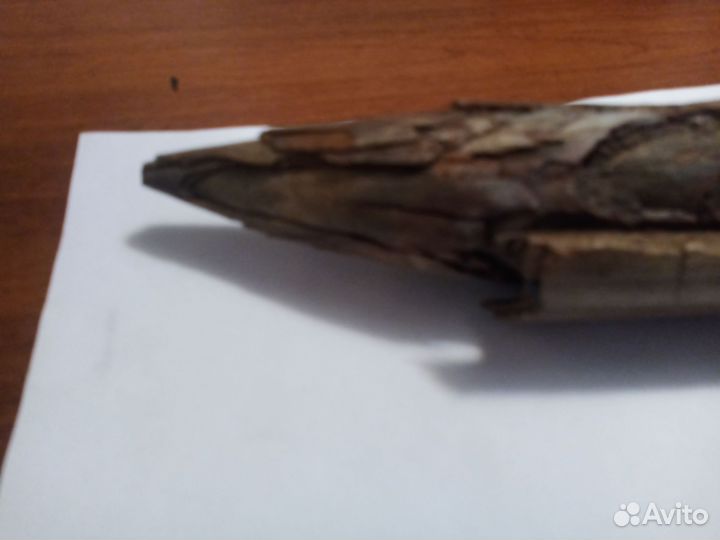 Бивень мамонта