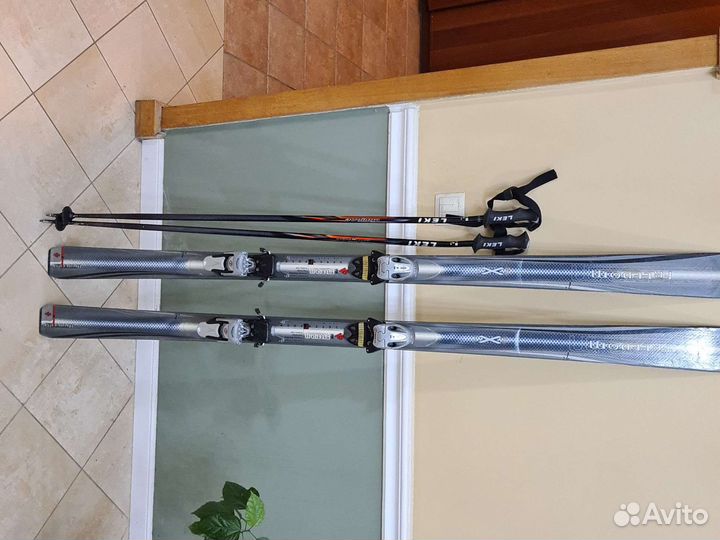 Горные лыжи