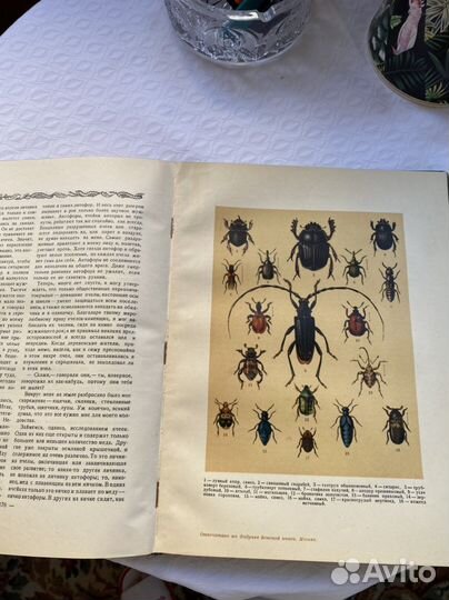 Книга Жизнь насекомых Ж. Фабр