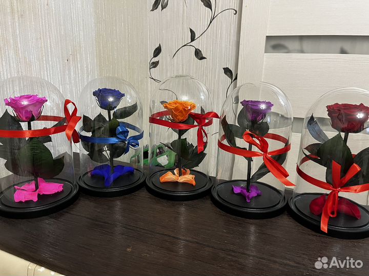 Роза в колбе