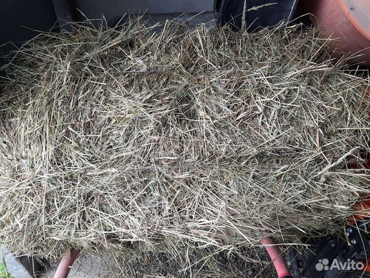 Сено в тюках