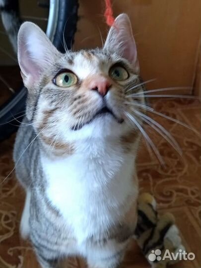 Алиса 11 мес