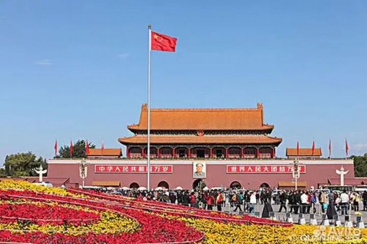 Коммерческие услуги от китайца