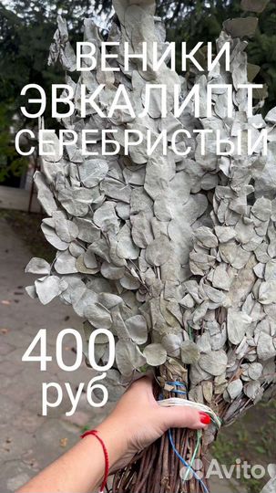 Веники эвкалиптовые 2 вида в наличии