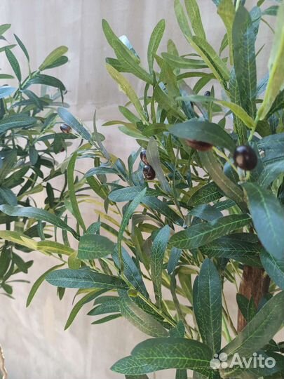 Олива искуственная с плодами. Искусственное дерево