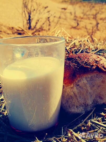 Парное молоко 4% 1.5л