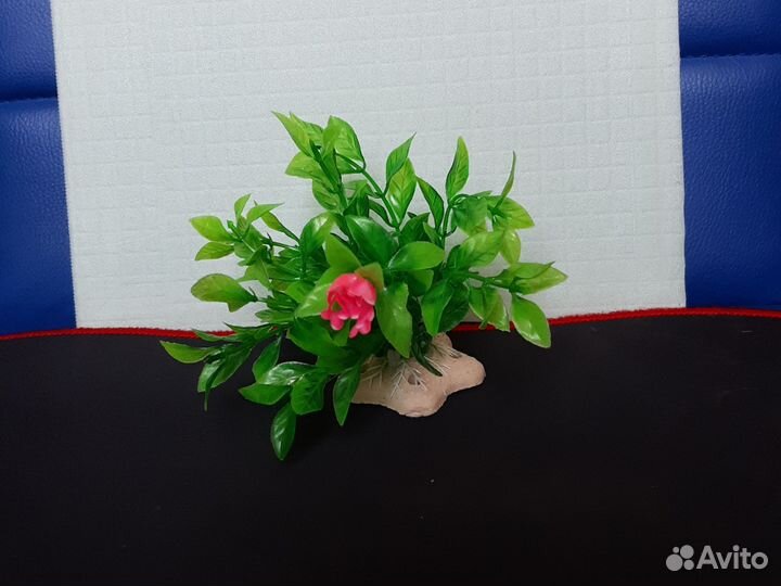 Исскуственные растения для аквариума