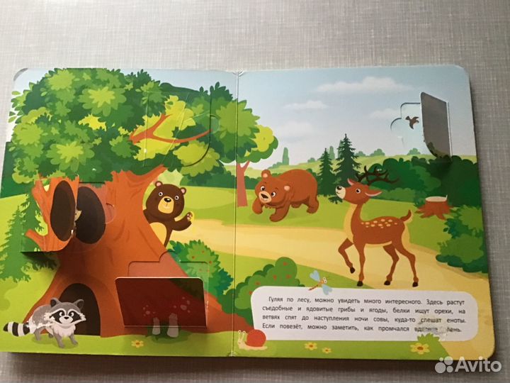 Животный мир: книжка с клапанами (окошками).2019