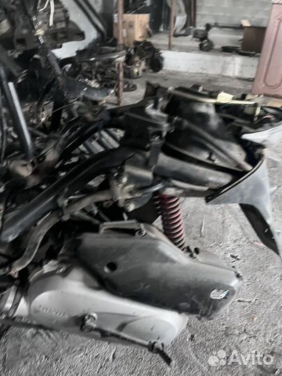 Скутер honda dio 62-68 разюор