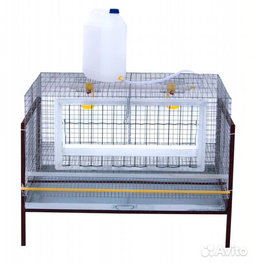 Клетка для кур несушек