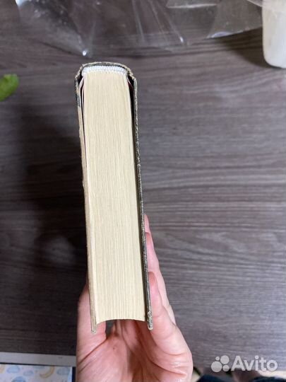 Шестнадцать деревьев Соммы. Ларс Миттинг