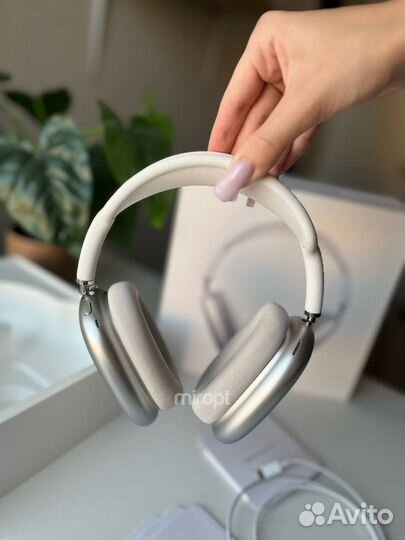 Airpods max premium