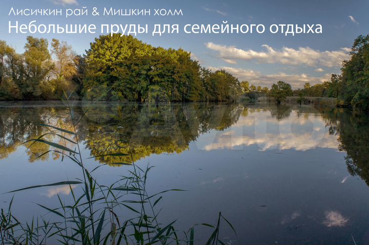 Участок 10 сот. (ИЖС)