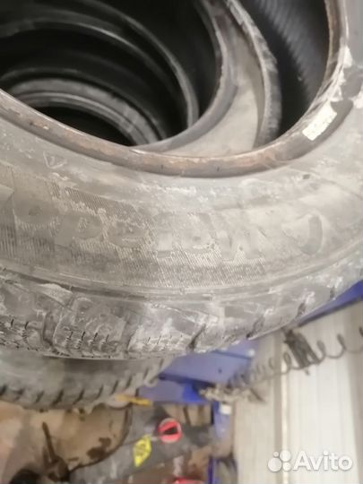 Matador MP 30 Sibir Ice 2 175/70 R14