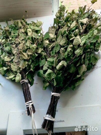 Банные березовые веники