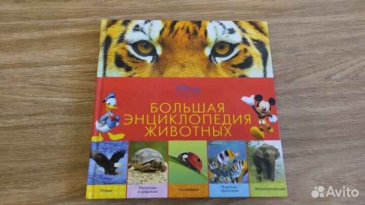 Детские книги энциклопедии