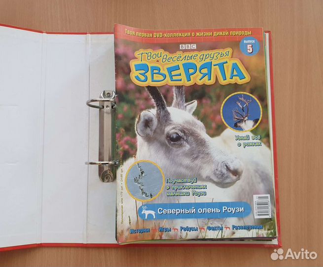 DVD-диски о животных (ввс)