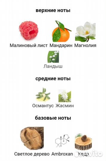 Dsquared Wood for Her 100 ml