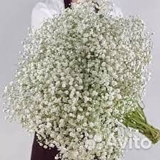 Букет из гипсофилы