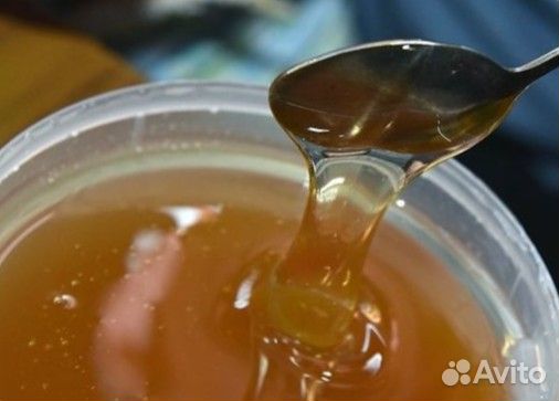 Мед боярышниковый оптом