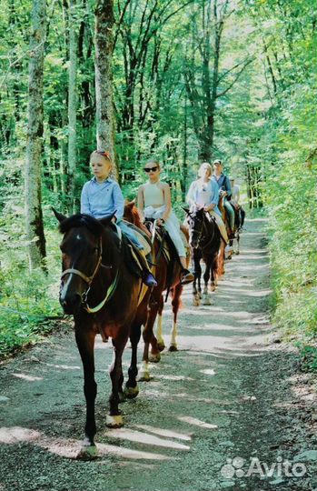 Kонная прoгулка к Axштырской пещeрe (Краcнaя пoлян