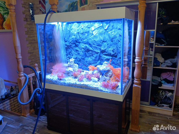 Аквариум на заказ в Сургуте по вашим размерам