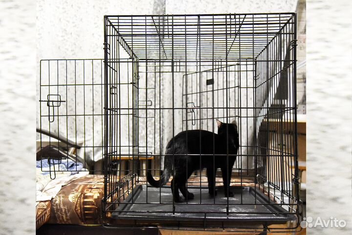 Клетка для животных большая