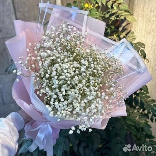 Гигантский Букет из Гипсофил Доставка