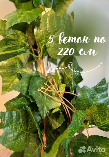 Декоративная лиана винограда (новое) дина 220 см