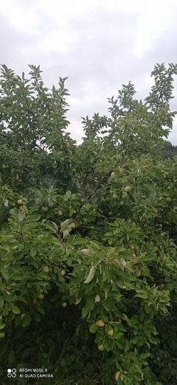 Дача 10 м² на участке 4 сот.