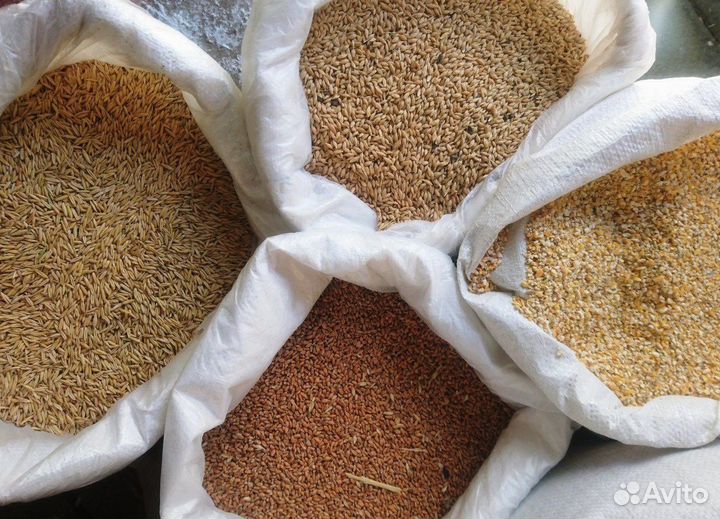 Комбикорма для птиц и с/х животных Оптом