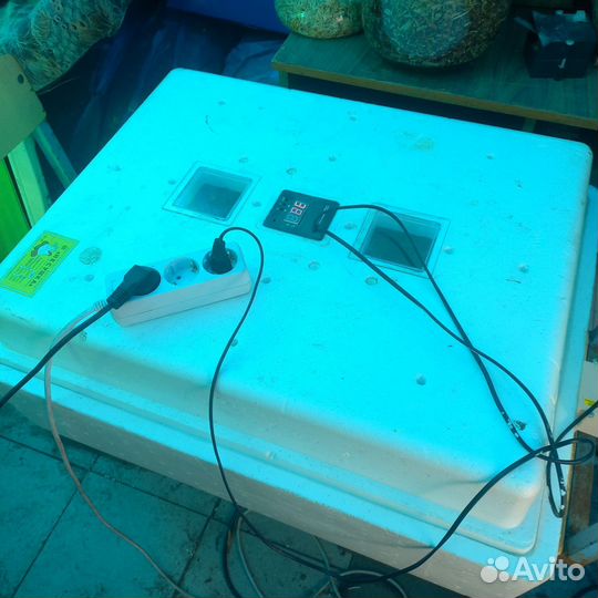 Инкубатор для яиц автоматический бу несушка