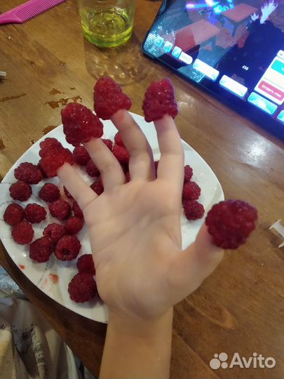 Саженцы ремантантной малины