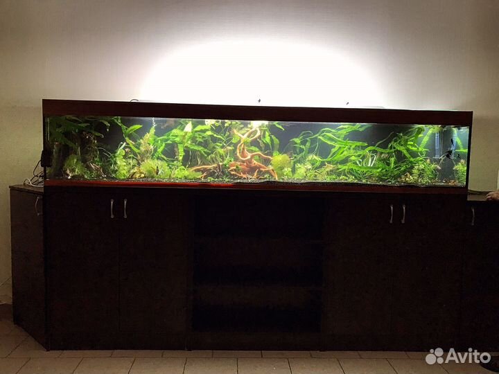 Обслуживание аквариумов