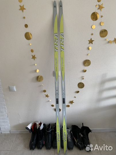 Лыжи tisa, ботинки spine, salomon