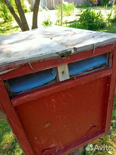 Ульи для пчел