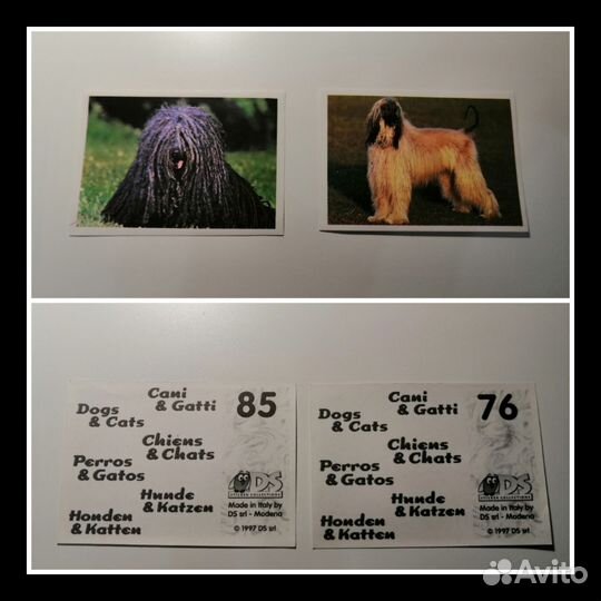 Наклейки Кошки и собаки DS 1997