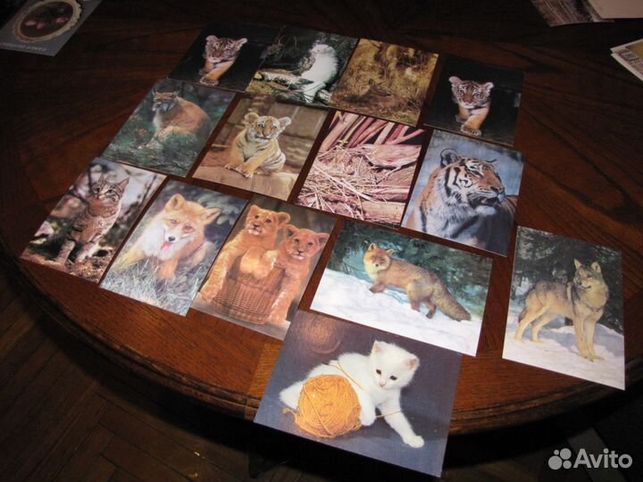 Фотооткрытки N 14