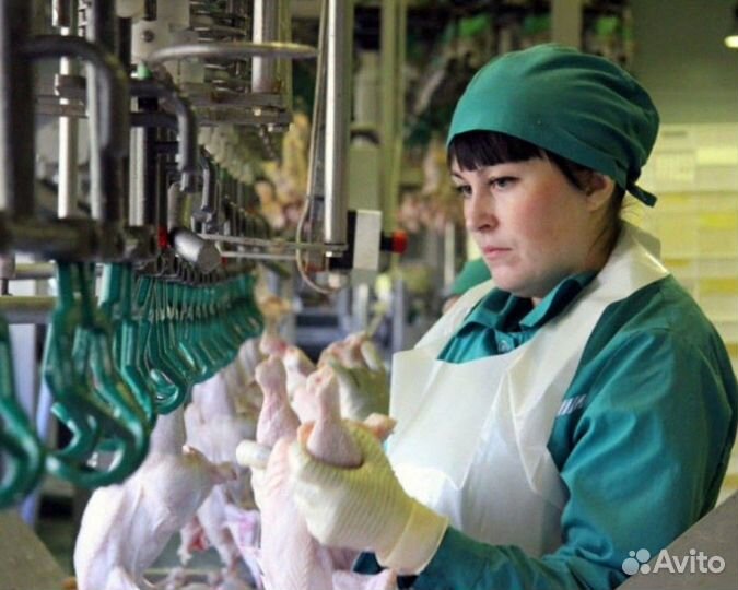 Требуются работники на птицефабрику с проживанием